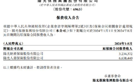 阳光人寿保险保单查询,便捷多途径,轻松掌握您的保险信息”